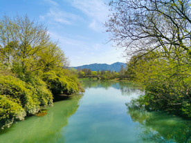 西溪湿地