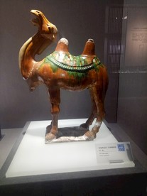 文物 唐三彩 骆驼