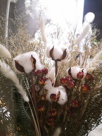 棉花桃