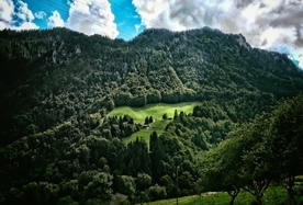 青峰翠山