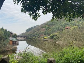 建筑 建筑效果图 城市效果图