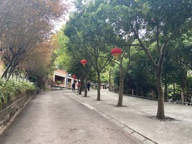 建筑 建筑效果图 城市效果图
