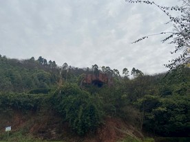建筑 建筑效果图 城市效果图