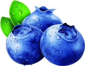 蓝莓