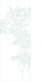 红葫芦 葫芦藤 矢量线条
