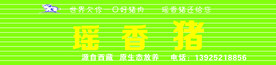 瑶香猪