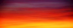 夕阳红