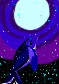 鲸