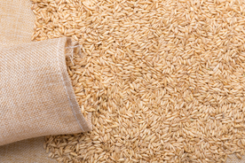 谷物燕麦米