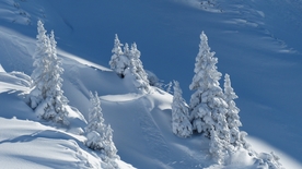 冰雪