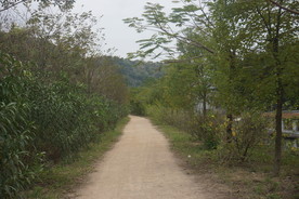 山间小路