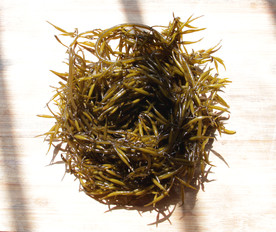 羊栖菜