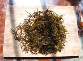 羊栖菜
