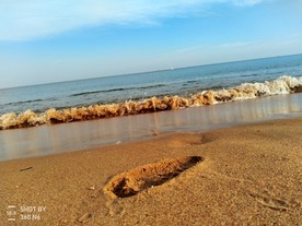 海浪
