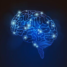 创意大脑矢量插画