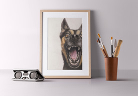 A3 装饰画 狼狗 彩铅 彩绘