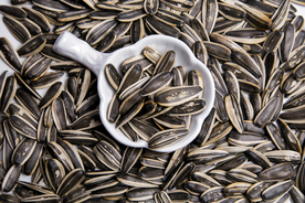 瓜子葵花籽炒货干货