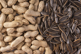 瓜子葵花籽炒货干货