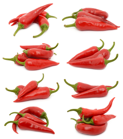 红辣椒