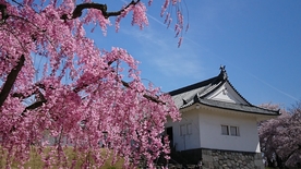 日本古建筑