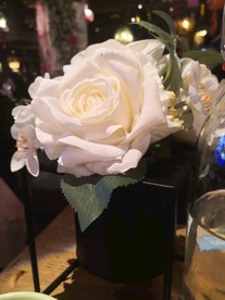 白玫瑰花