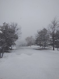 大雪纷飞