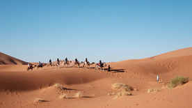 骆驼驼队沙漠戈壁荒野