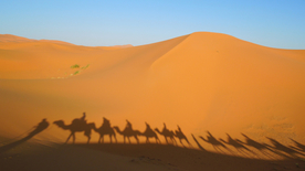 骆驼驼队沙漠戈壁荒野