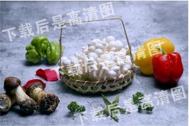 白雪菇