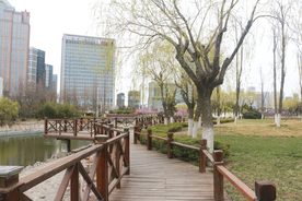 公园景观