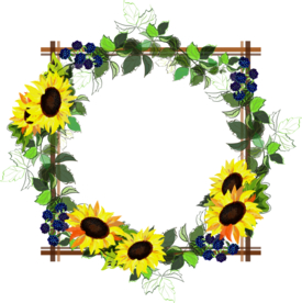 创意花朵图案边框