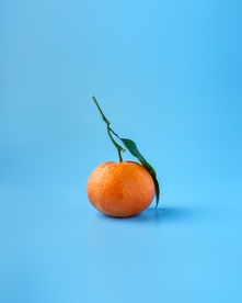 马卡龙色调图片素材