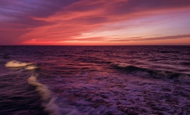 海