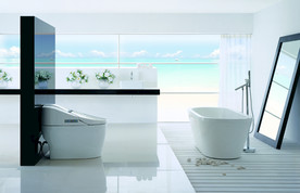 浴室柜  马桶  洗手盆  卫