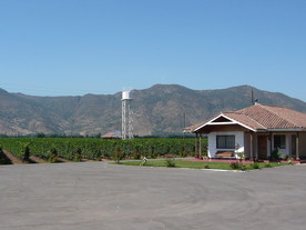 葡萄园基地