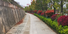 小路 林间小路  绿化带路