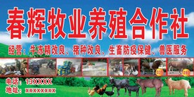 养殖合作社  广告