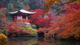 彩林