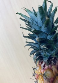 菠萝