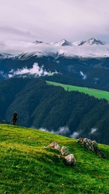 高山森林雪山手机高清壁纸