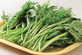 茼蒿