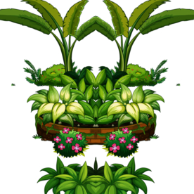 花坛