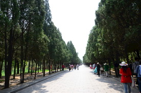大道