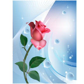 花卉