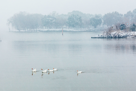 雪中太湖