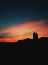 风景