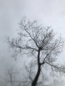风景