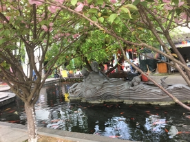 鱼池