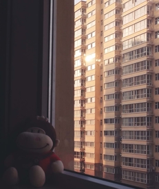 傍晚的阳光