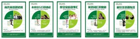 英语 教育 培训 海报 课程